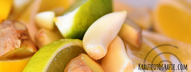 krautfotografie.com, Kraut+Fotografie, Kräuter, krautblog.com, Frühling, Kraut, Entgiftung, Entschlackung, Reinigung, Ausmisten, Sortieren, Neubeginn, Loslassen, Frühlingskur, Zitrone, Knoblauch, Ingwer, Kurkuma