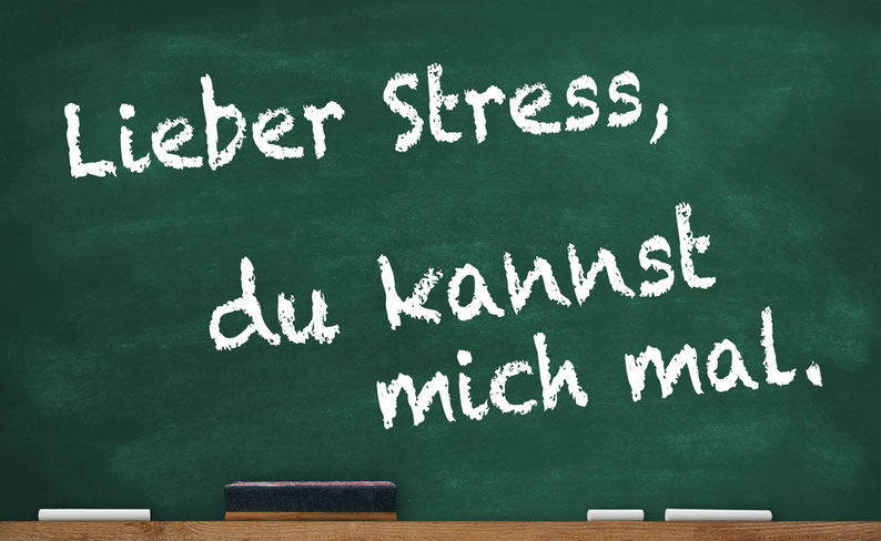Lieber Stress, du kannst mich mal. Stressmanagement-Seminare und Burnout-Prävention Wolfgang C. Reschke