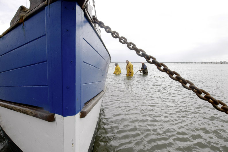 Photo de Perrine Lefèbvre issue de la série pêche à la traïne avec l'équipage des copains à bord TEST'Image 2 La Source La Teste 2024