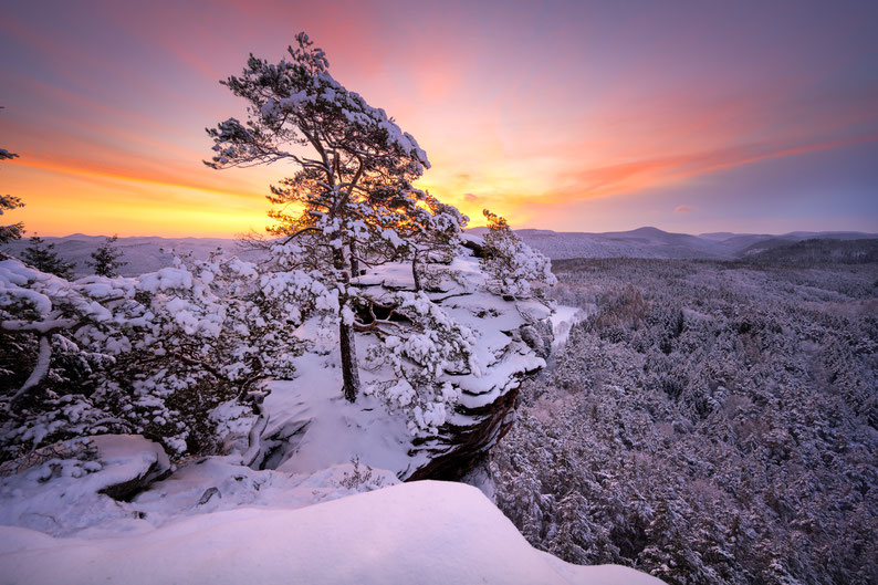 Pfalz Schlüsselfelsen Schnee Winter Pfälzerwald