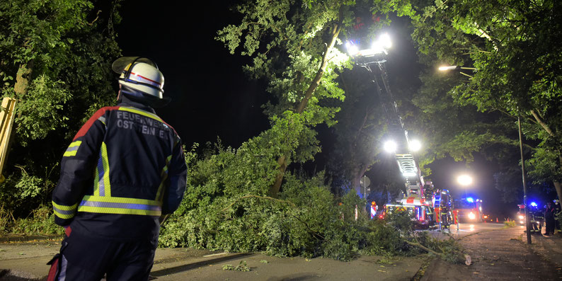 04.08.2022 - Oststeinbek - Baum droht auf die Straße zu stürzen.