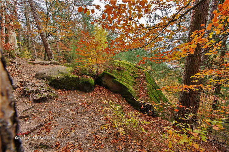 Auf dem Felsenwanderweg im Herbst