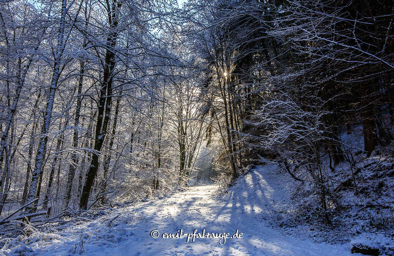 Winter Impressionen in der Langenbach - an der Bärenhöhle in Rodalben