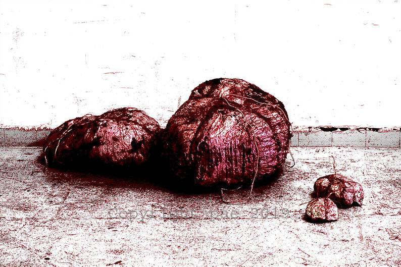 Gepäckstücke, Fotografik, Limit. Aufl. 2019, 20 Ex.