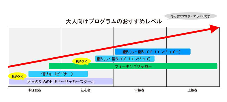 大人向けプログラムおすすめレベル