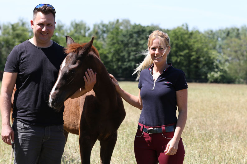 Reitponyzucht Assenmacher Reitponyzucht Assenmacher