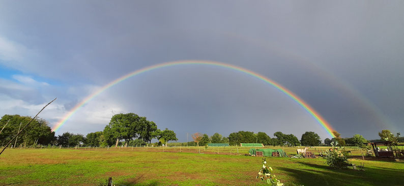 Ein Regenbogen überspannt eine Weide, auf der Pferde grasen