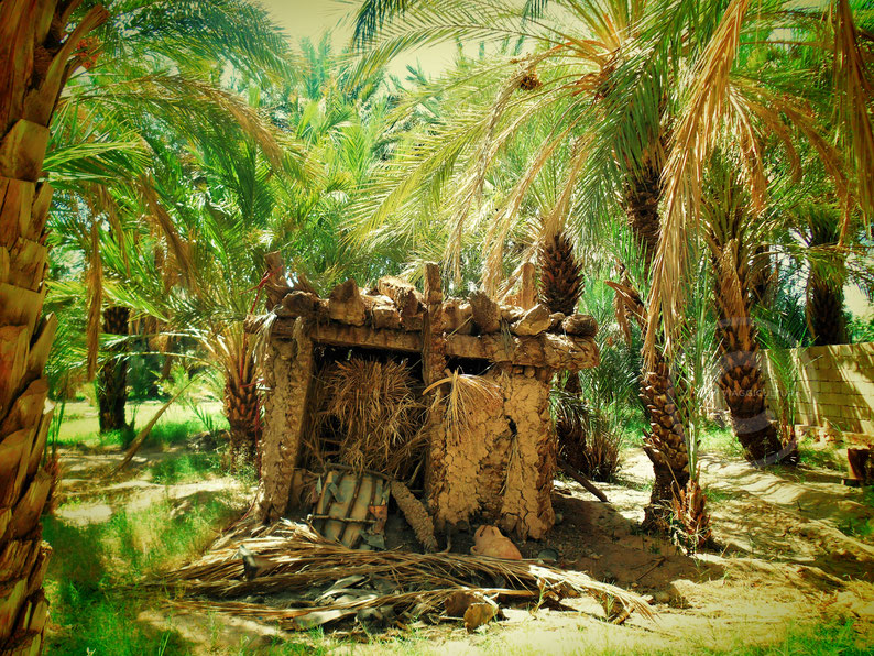 Oasi di Figuig, Marocco