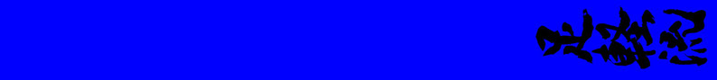 10e Kyu Blauw: fudo dachi / kumite dachi / zenkutsu dachi / kiba dachi / taikyoku sono ichi / geri kata / kihon kata ichi / 5 ronden kumite
