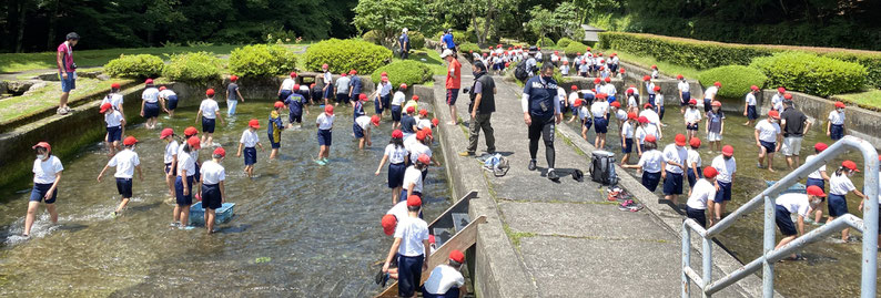 白根魚苑ニジマスのつかみ取り体験