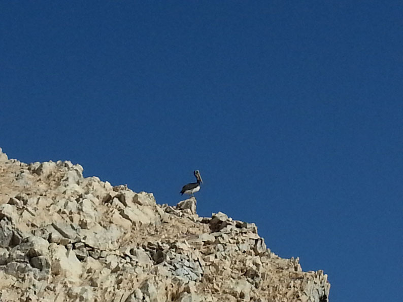 Peru and Bolivia in 3 weeks - Islas Ballestas