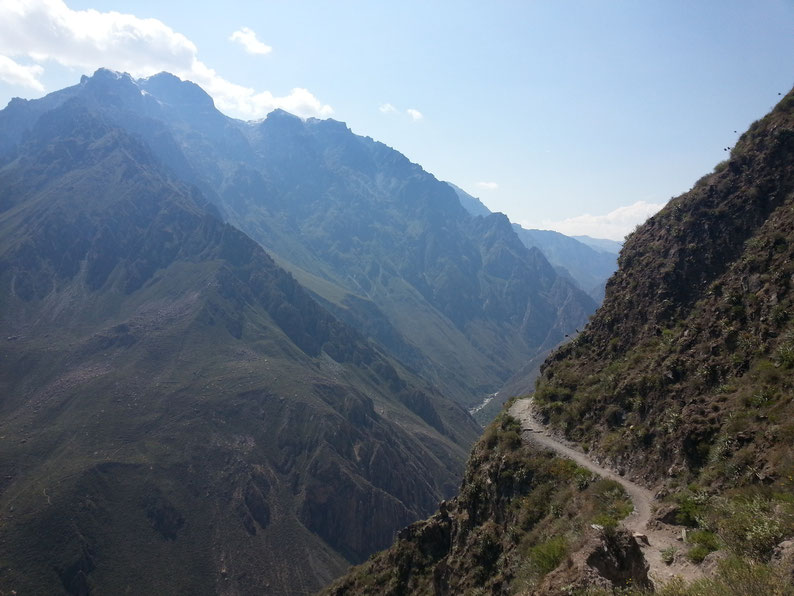 Peru and Bolivia in 3 weeks - Trekking Cañon del Colca