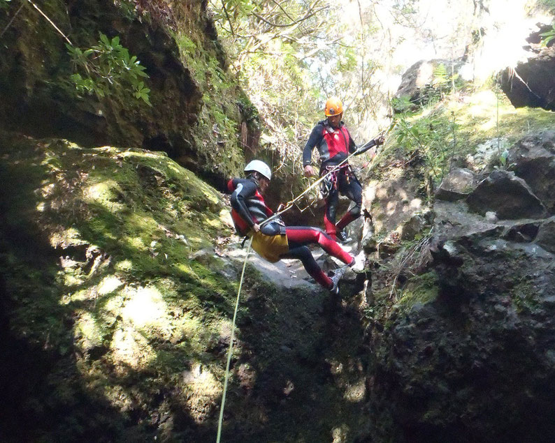 5 Things to Do In Madeira