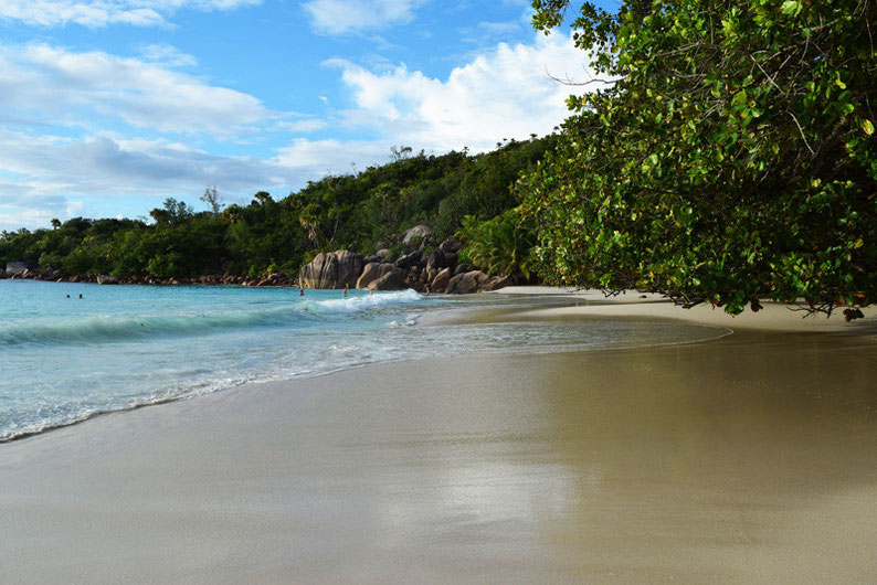 5 Things to do in the Seychelles Islands - Anse Lazion Beach on Praslin