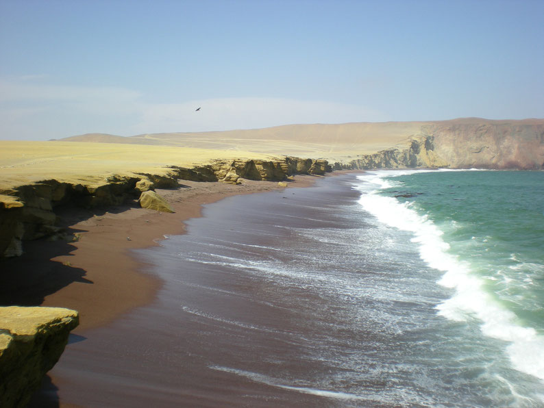 Peru and Bolivia in 3 weeks - Red coast, Paracas National Reserve