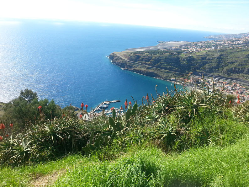 5 Things to Do In Madeira