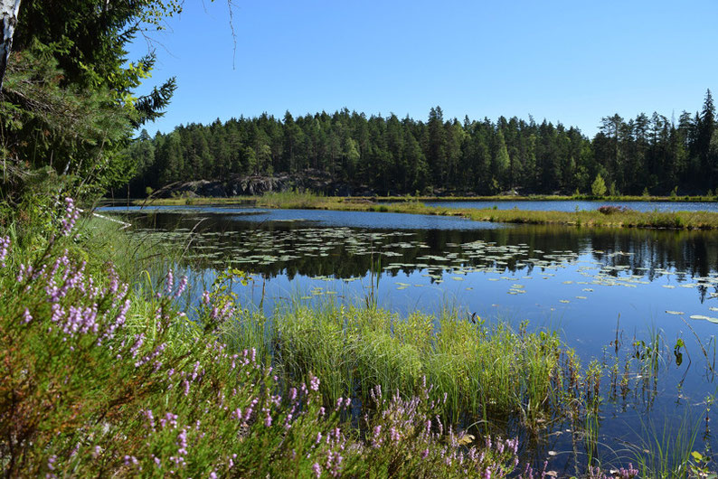 One of Our Short Breaks in Finland - Sandwich time at one of the places in Nuuksio National Park