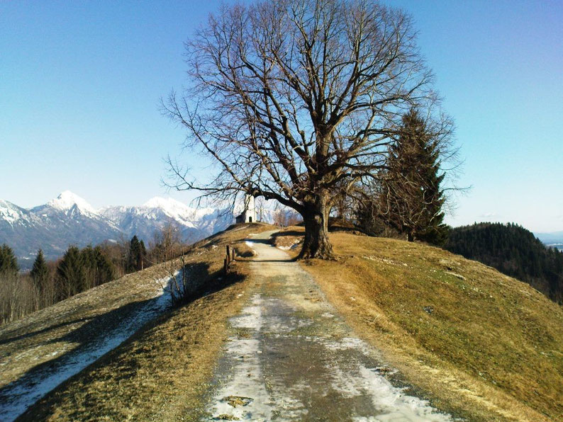 Why Slovenia Should Be Your Next Destination - The Church in Jamnik