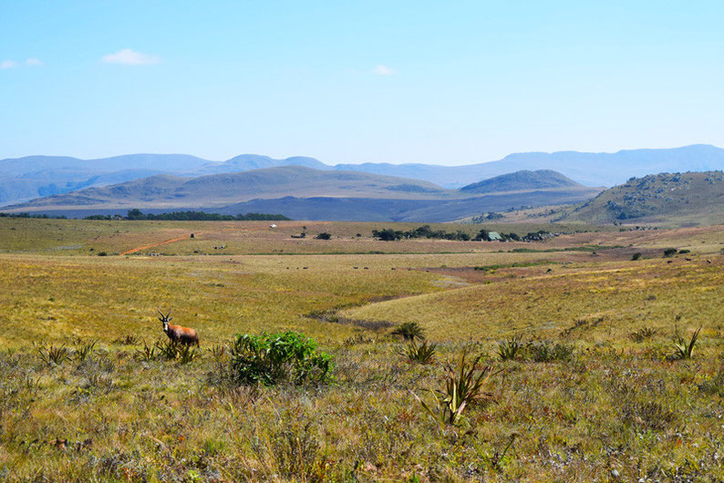 A Scenic Drive Through Swaziland - Malolotja National Park, Swaziland