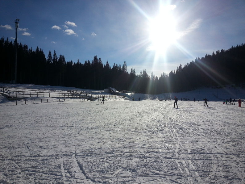 Why Slovenia Should Be Your Next Destination - Cross country skiing at Pokljuka, Slovenia