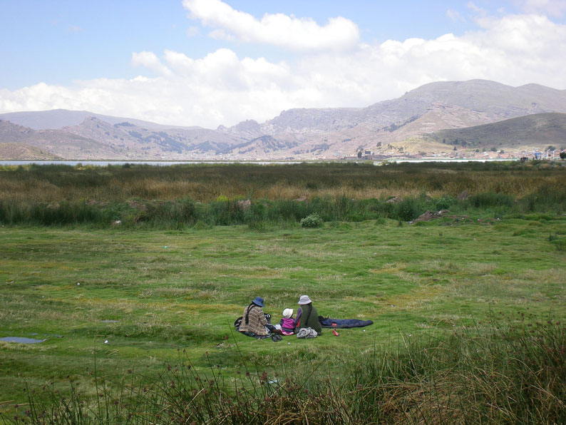 Peru and Bolivia in 3 weeks - Lake Titicaca, Puno