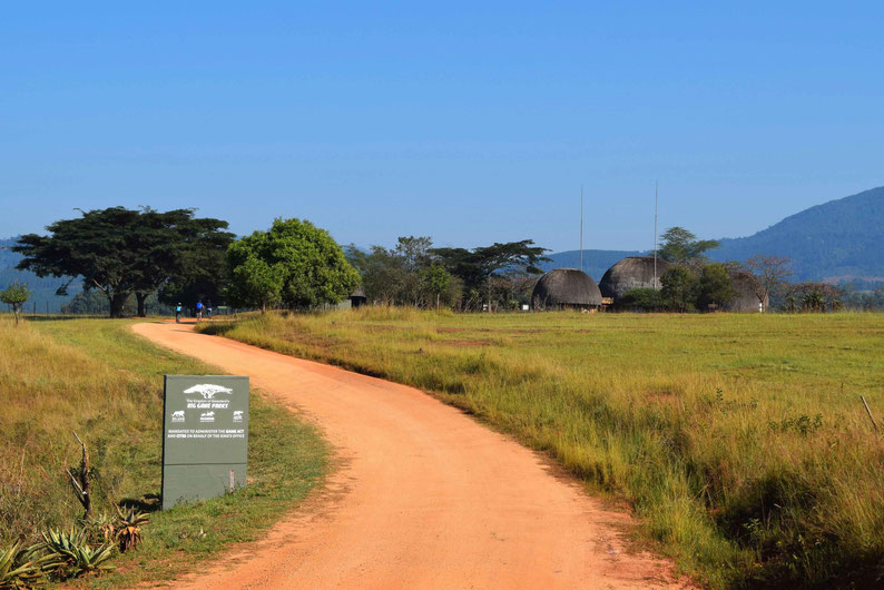 A Scenic Drive Through Swaziland - Mlilwane Wildlife Sanctuary