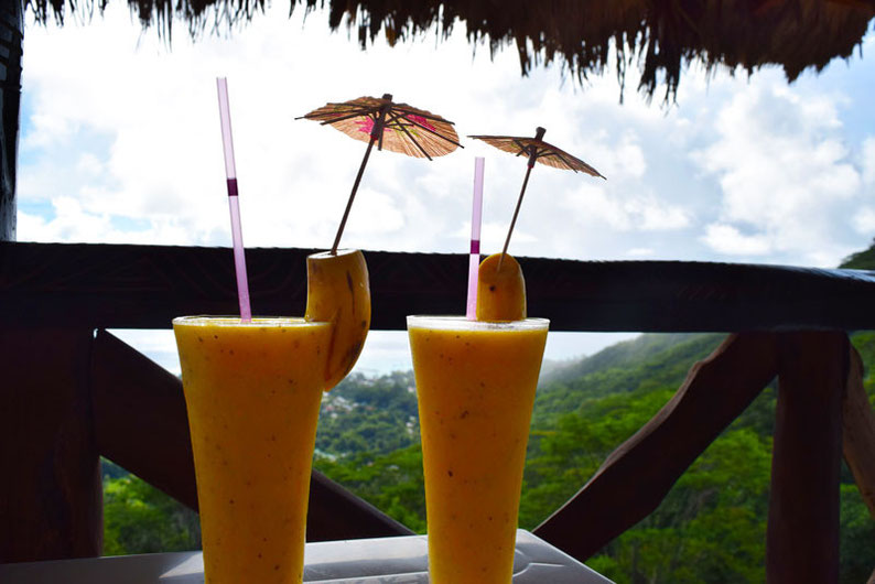 Get Seychelles' Best View at Nid d'Aigle - our smoothie