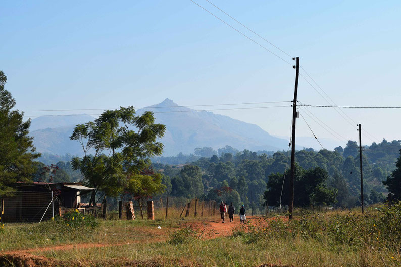 A Scenic Drive Through Swaziland - Landscape near Mlilwane Wildlife Sanctuary