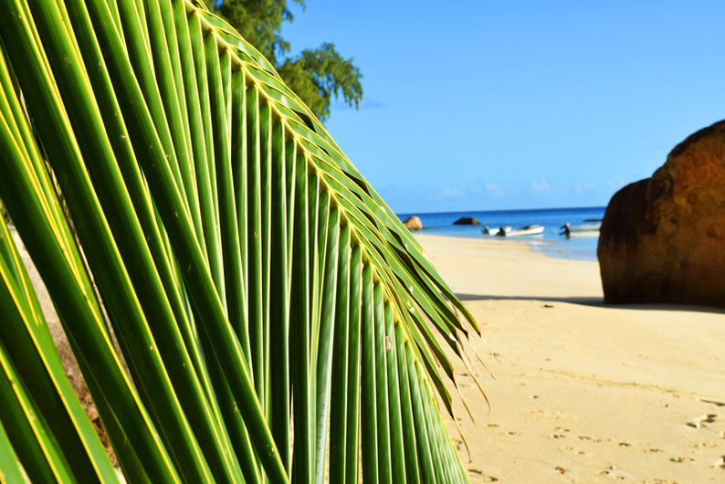 Our trip to the beautiful Seychelles islands - First impressions of the Praslin Island