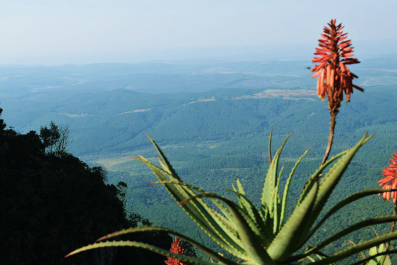 Don't skip the Blyde River Canyon - God's Window