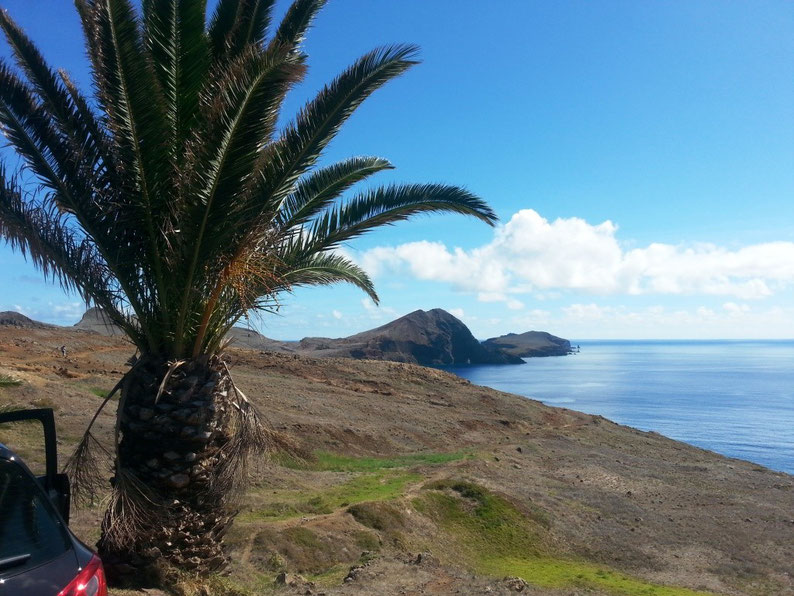 5 Things to Do In Madeira