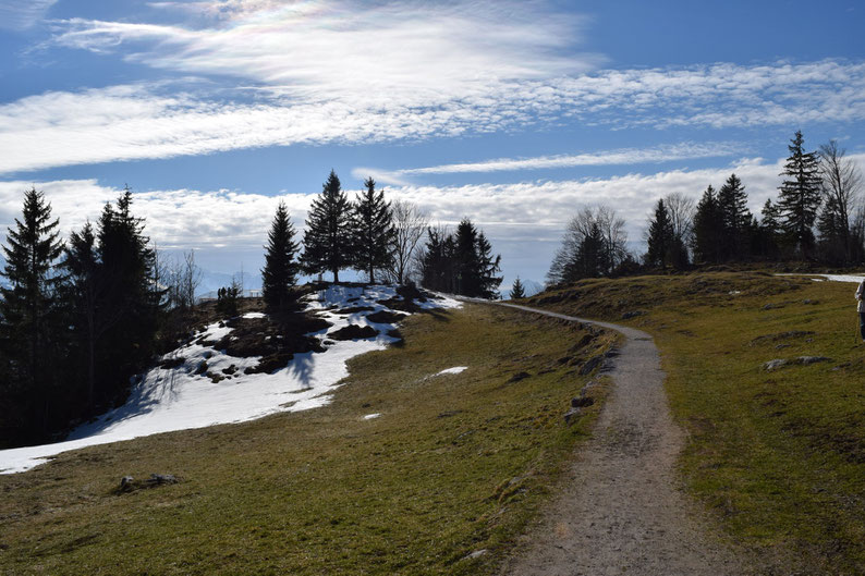 The way to the Chapf viewpoint