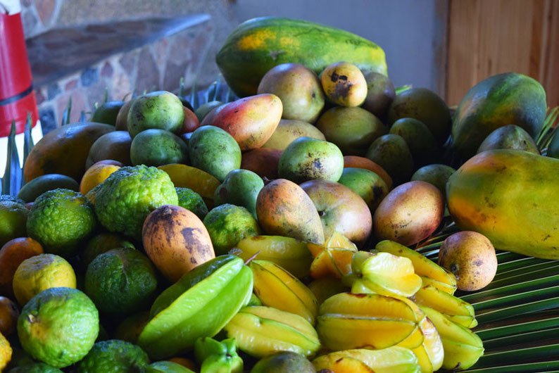 Get Seychelles' Best View at Nid d'Aigle - Lots of fruits waiting to be squeezed!!