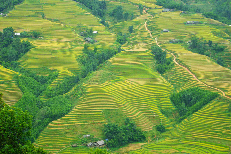 How to spend 14 days in Vietnam - Sapa