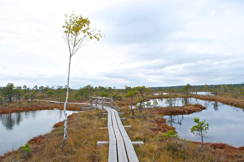 Kemeri National Park, Latvia