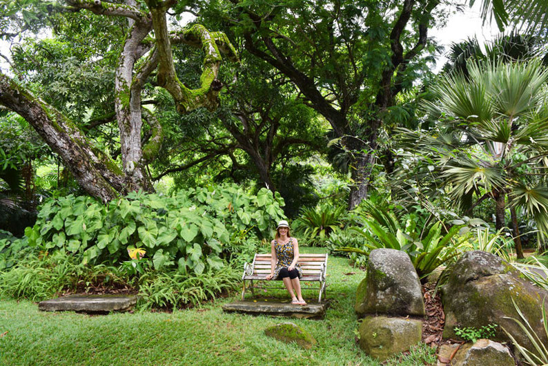 Our trip to the beautiful Seychelles islands - Visiting the botanical garden in Victoria, Mahe