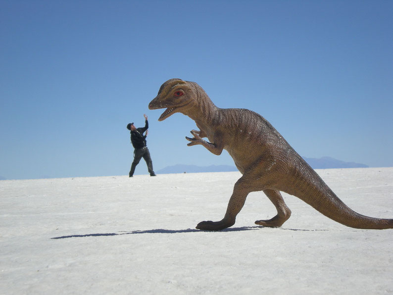 Jerry attacked by a dinosaur at the Uyuni salt flats, Bolivia in 2014