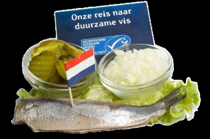 Haringseizoen 2021 Vishandel Wekking