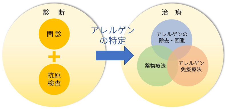 アレルギー,検査