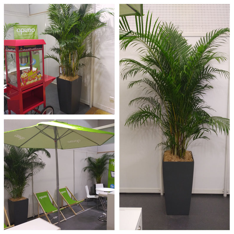 Location de plantes: Retour en image sur le stand de notre client cette semaine au salon de la Fnaim au Palais des Congrès de Paris