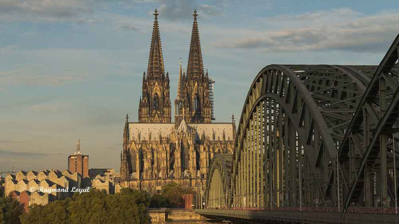 cologne