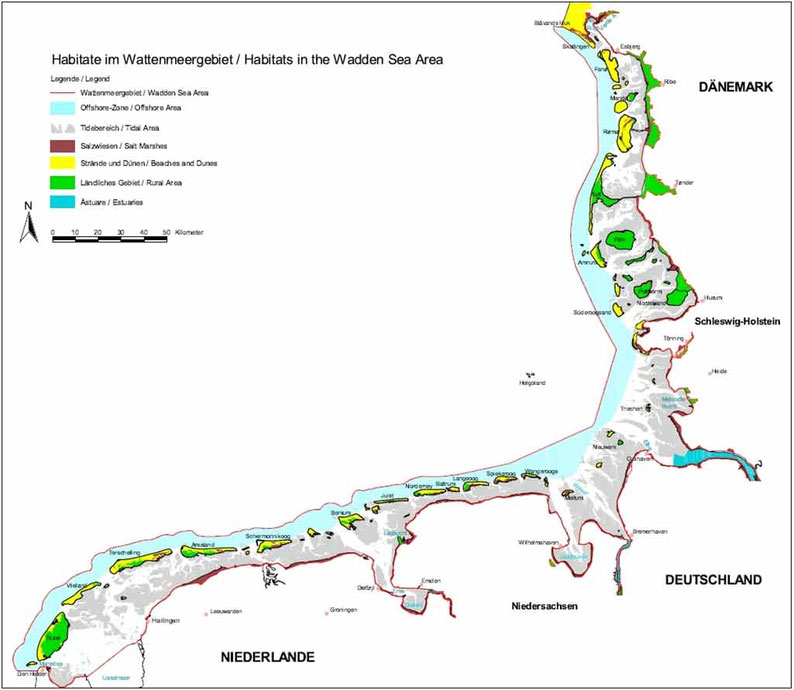 waddensea nature habitats