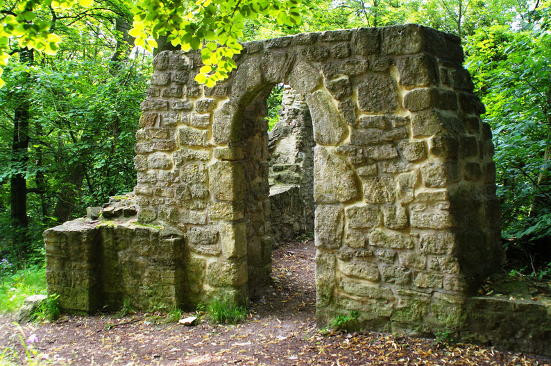 Die Ruine der Asseburg ist ein schönes Ausflugsziel für Familien mit Kindern. Foto: djd/Nördliches Harzvorland Tourismusverband
