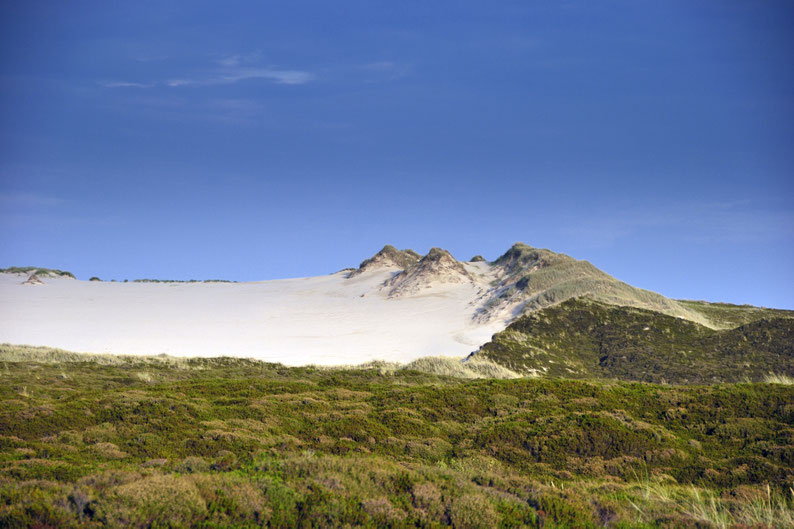 Deutschlands größte Wanderdüne legt pro Jahr bis zu zehn Meter auf der Insel Sylt zurück - immer Richtung Osten. Foto: djd/Kurverwaltung List
