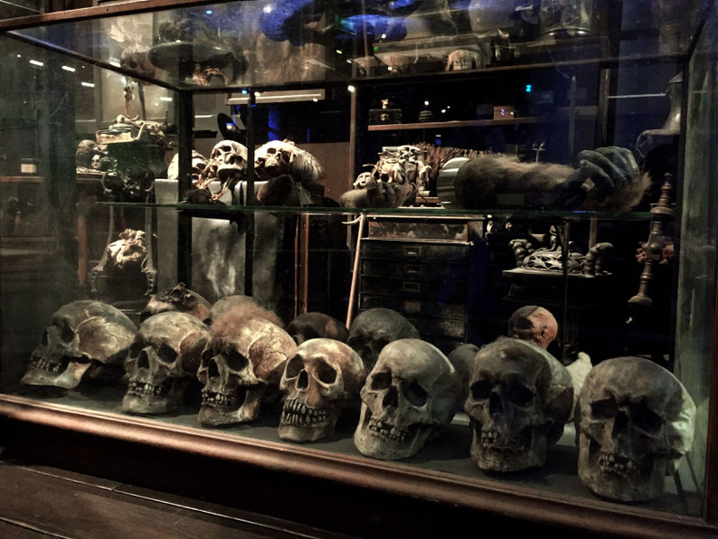 image: nina luca, warner bros london, warner bros studios, harry potter, hogwarts, hogwarts express, harry potter london, harry potter studios, london warner bros