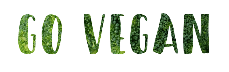 go-vegan-heile-dich-und-deinen-koerper