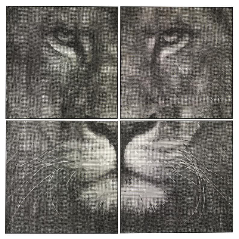 Lion 180x180 cm Disponible chez PrestaArt Gallery