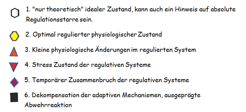 Eavet Scan