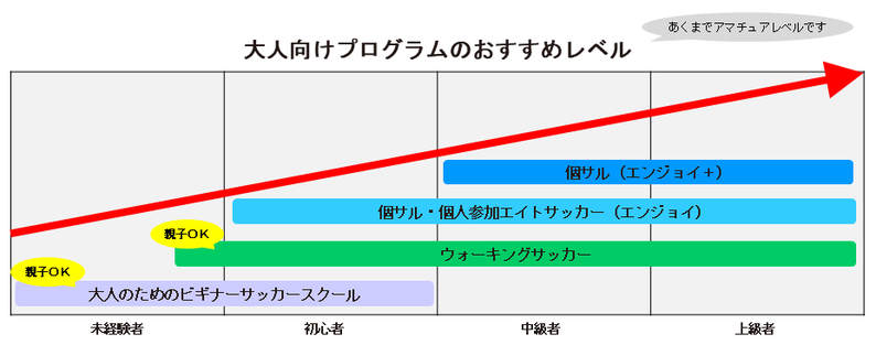 大人向けプログラムおすすめレベル