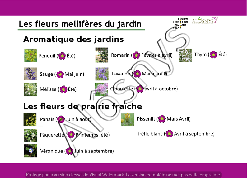 Panneau pédagogique : les fleurs mellifères